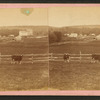 View of a farm with cattle roaming, Dubuque, Iowa.