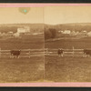 View of a farm with cattle roaming, Dubuque, Iowa.