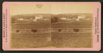 View of a farm with cattle roaming, Dubuque, Iowa.