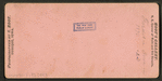 Freshet in 1876, Dubuque, Iowa.