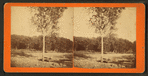 Freshet in 1876, Dubuque, Iowa.