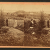 People in a vineyard, Dubuque, Iowa.