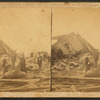 Horse in the midst of ruins.