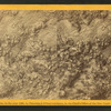 Rosa's Bower [with gypsum formations in the shape of flowers].