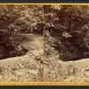 Mouth of the cave.