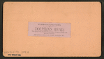 Dolphin's head. (This projection of rock resembling a      dolphin's head is in Marion's Avenue.)
