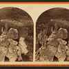 Centennial Collection of specimens"