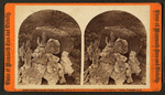 Centennial Collection of specimens"
