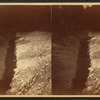In Marion's Avenue.