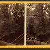 A native. [An African American boy sitting on a log.]