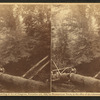 A native, (an African American boy sitting on a log).