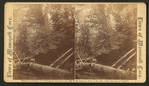 A native, (an African American boy sitting on a log).