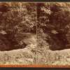 Mouth of the cave.