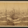Baxter Park, Louisville, Kentucky.