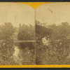 Suspension bridge, near Keiser's.