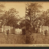 Ashland: cottage and pigeon house.