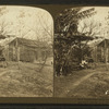 A typical negro cabin, Louisiana.