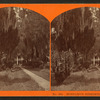 Bonzano's residence, Chalmette.