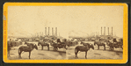 Principal steamboat landing, from Gravier street, looking down the levee.