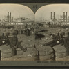 Cotton! cotton! cotton! levee, New Orleans, La. U.S.A.