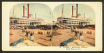 Loading a Mississippi steamer, New Orleans, La.