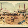 Loading a Mississippi steamer, New Orleans, La.