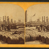 The levee and railroad station.