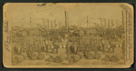 Sugar landing, lower levee, New Orleans, U.S.A.