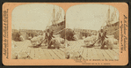 Loading cotton on steamers, on the levee, New Orleans, La.