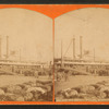 Str. Henry Frank, unloading cotton.