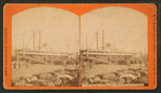 Str. Henry Frank, unloading cotton.