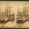 Shipping at New Orleans, La.