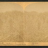 Sugarcane Plantation, Louisiana.