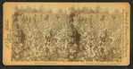 Away down among "de cotton and de coons," Louisiana, U.S.A.