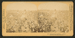 Picking cotton, Louisiana.