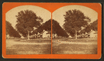 Plantation Negro houses.