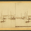 Oyster sloops on Chesapeake Bay.