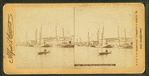 Oyster sloops on Chesapeake Bay.