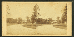Distant view of the Mansion. Druid Hill Park, Baltimore, Md.