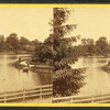 The Lake. Druid Hill Park.