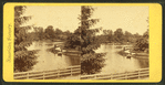The Lake. Druid Hill Park.