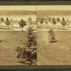 Spring Lake, Druid Hill Park.