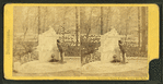 Drinking Fountain, Silver Spring, Druid Hill Park.