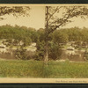 Glen Roland, near David Hill Park. Baltimore.