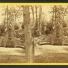 View of the Fountain. Druid Hill Park.