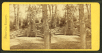 View of the Fountain. Druid Hill Park.