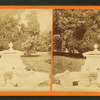 Woman at the Fountain. Druid Hill Park.