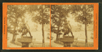 Statue of boy and the swan. Druid Hill Park.