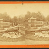 Boat landing, Druid Hill Park, Baltimore, Md.