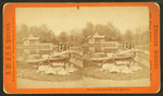 Boat landing, Druid Hill Park, Baltimore, Md.
